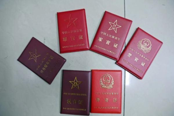 菠菜网官网